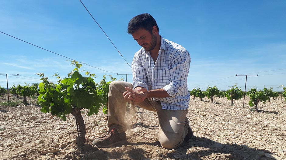 Fernando Mir es el promotor de la Bodega Vino del Desierto.