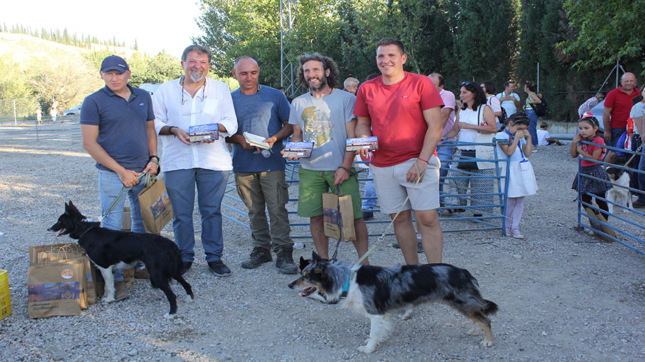 Jorge Ezquerra, y su perro, Zero, han sido los ganadores del concurso de perros pastores.