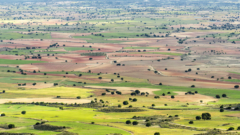 foto_alfonso_ferrer_monte_oscuro