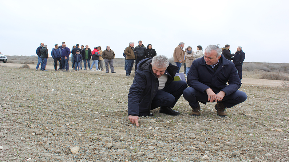 Ángel Samper y Jorge Azcón, en un campo de secano de Bujaraloz, muy afectado por la falta de precipitaciones.