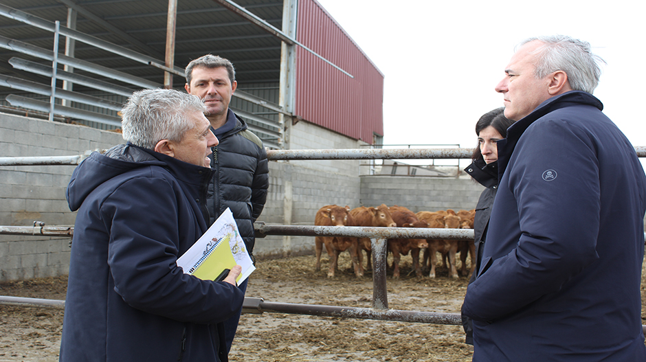 Los responsables del Gobierno de Aragón han visitado además una explotación ganadera de vacuno.