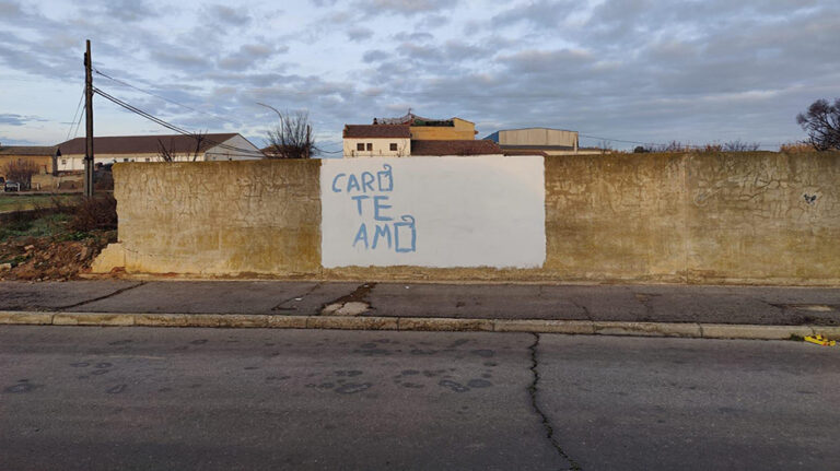 pintada acosador Grañén