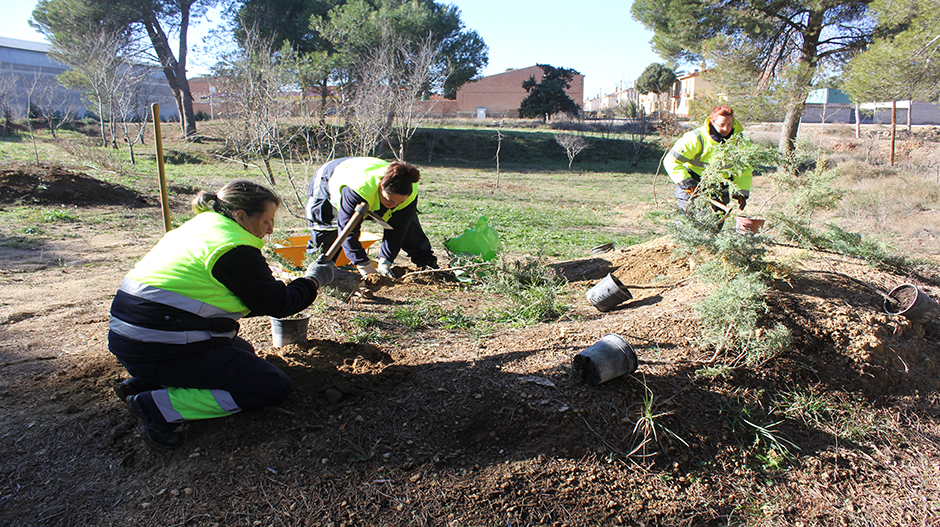 Tres de las alumnas-trabajadoras realizan labores de jardinería en el pinar adecuado durante el anterior programa experiencial.