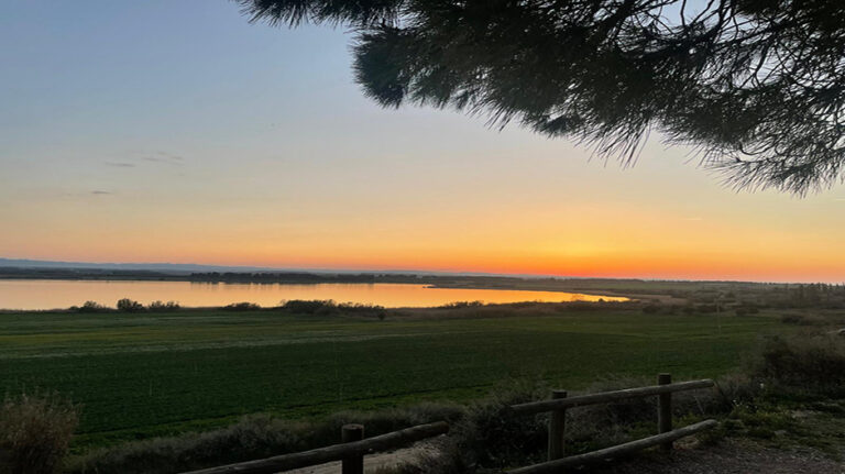 LAGUNA_Sariñena_eva_casasnovas