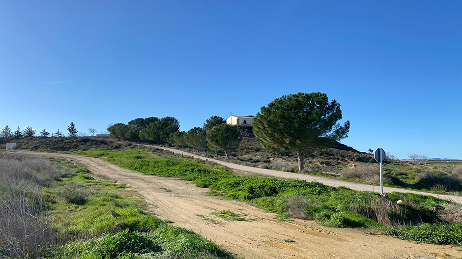 Una de las zonas a reforestar será el camino de acceso a la ermita de Santa Brígida.