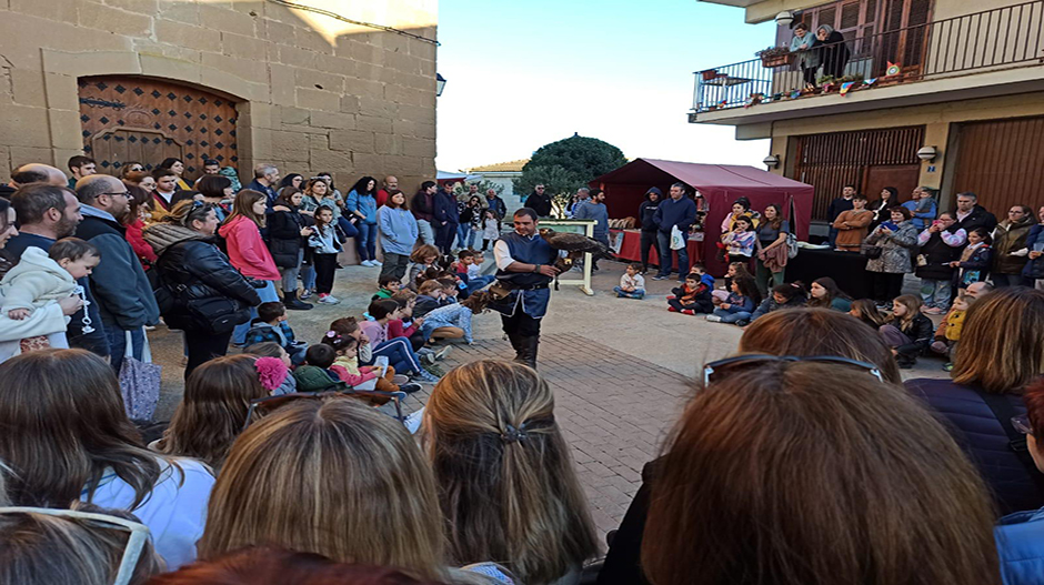 La actividad volverá a incluir una exhibición de aves rapaces.