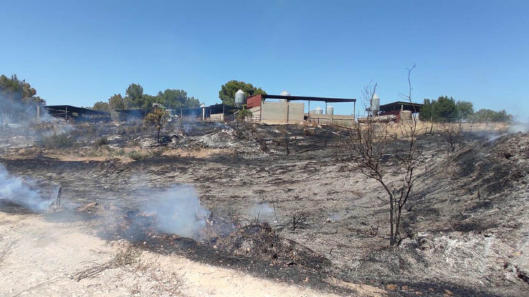 incendio_granja_orillena
