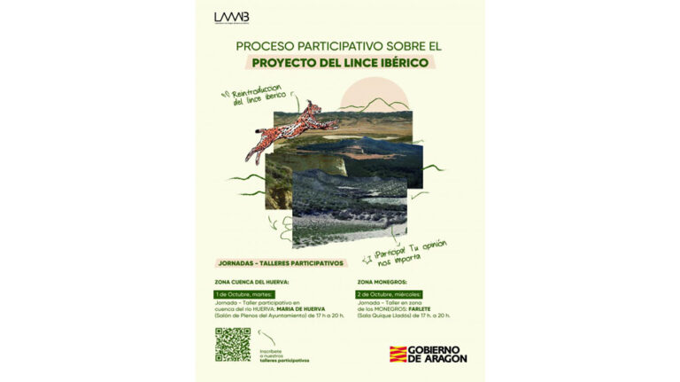 lince_proceso_participativo