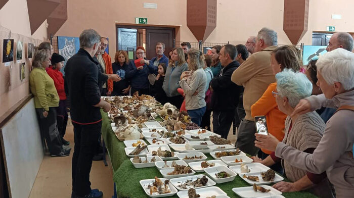 jornadas_micologicas_2022