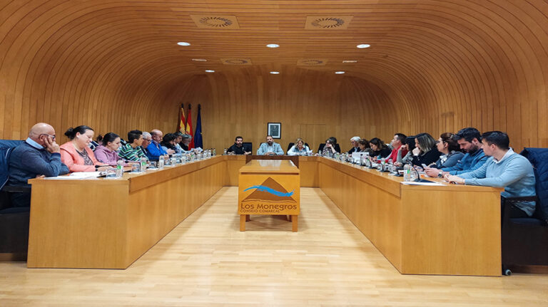 pleno_comarca_noviembre_2024