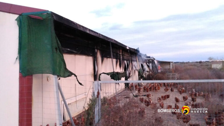 incendio_granja_aviar_grañén
