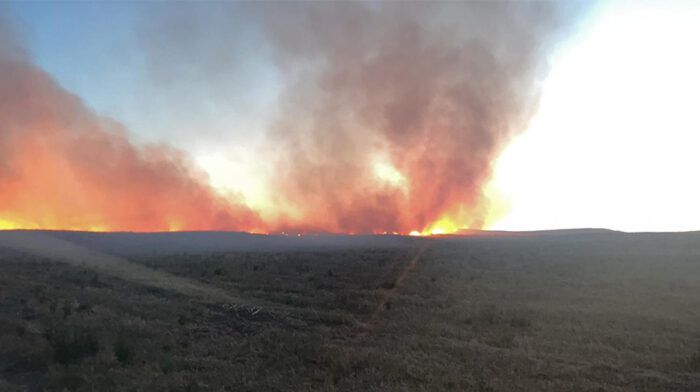 incendio_agricola_tardienta copia