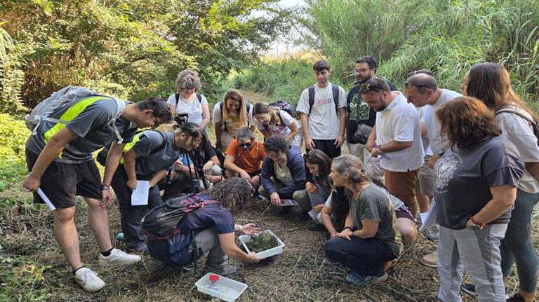 curso_entomologia copia