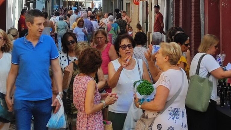 MERCADILLO2