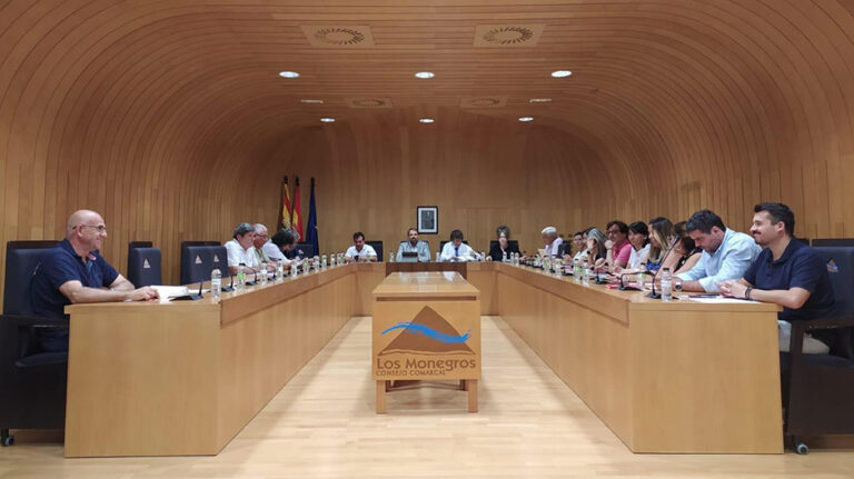 pleno_comarcal_julio_2025 copia