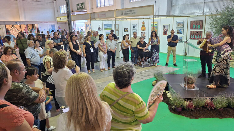 presentación video copia