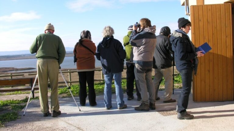 Puente_diciembre_2025
