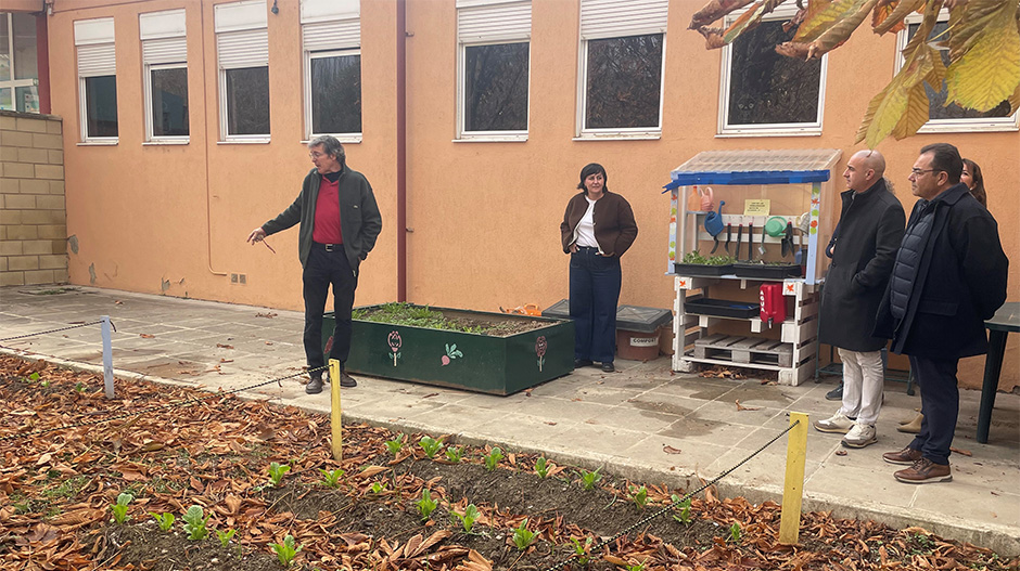 patios_x_clima copia