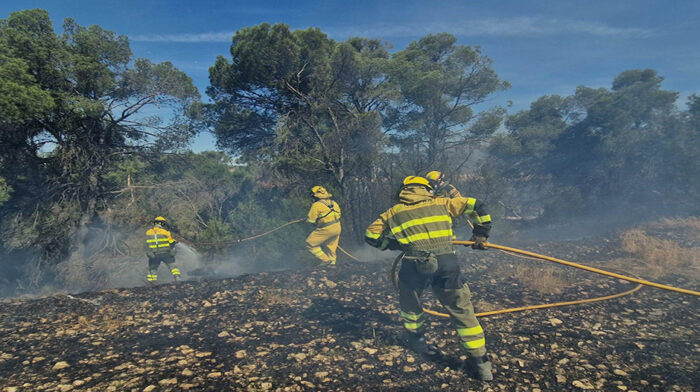 incendio_extincion_miercoles (2)