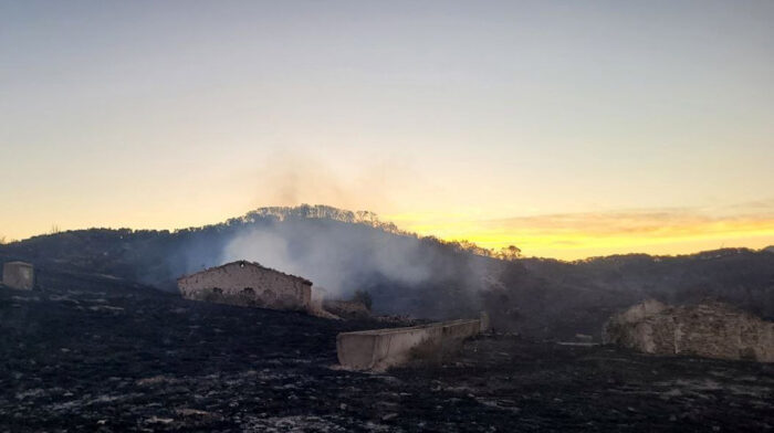 incendio_leciñena_cuarto_dia