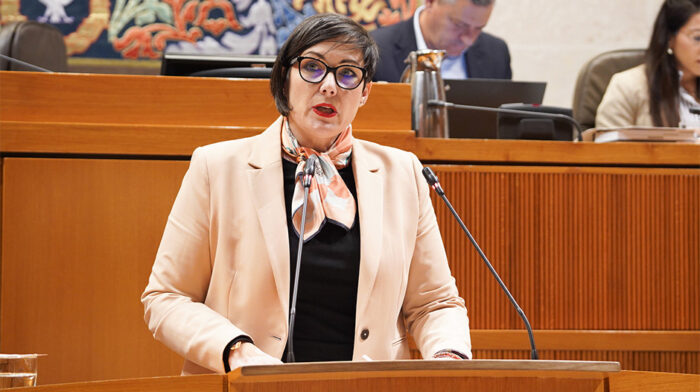 Verónica Villagrasa Dolsa2 copia